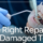female having dental work done